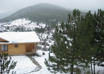 CAMLIDERE DAG EVLERI  (6)